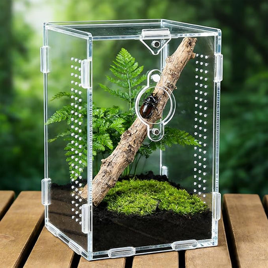 Acrylic Jumping Spider Enclosure,Reptile Enclosure,Bug Habitat, for Small Tree Dwelling Reptiles,Arboreal Tarantula Enclosure, Spider Terrarium Kit,Plastic Terrarium(4.7" X 4.7" X 8")
