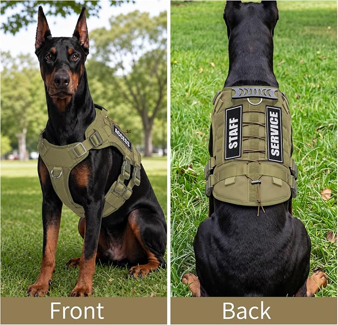 Tactical Dog Harness for Medium Dogs, Heavy Duty No Pull Dog Harness with Handle, Adjustable 6-Buckle Pet Vest for Pitbull, Border Collie, Boxer, Walking, Training, Hunting