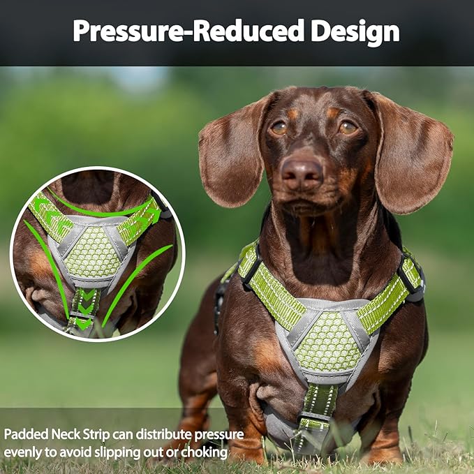 Escape Proof Dog Harness, Dachshund Harness, Reflective Dog Harness with Handle, Durable,Adjustable Vest for Small Medium Large Dogs Walking, Training, and Running Gear (Green,XL)