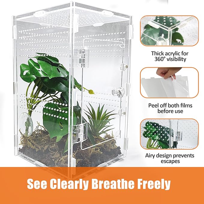 Acrylic Jumping Spider Enclosure Large 6”x6”x10” with Front Door, Arboreal Tarantula Enclosure, Praying Mantis Habitat for Spider, Mantis, Snail, Tarantula, Isopods, Beetles, Millipedes