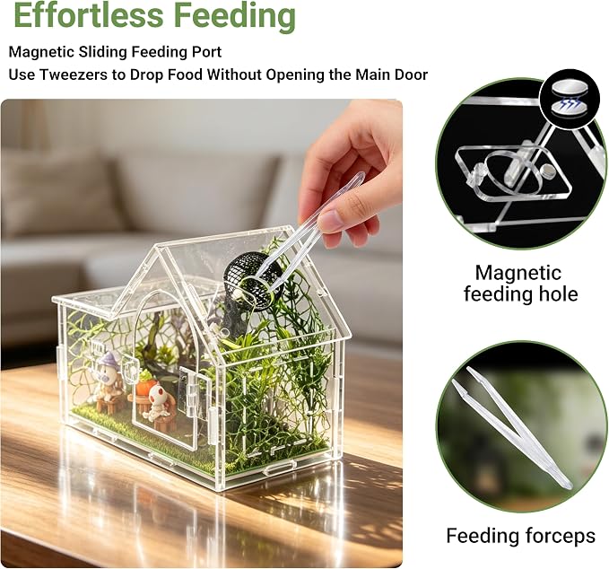 Acrylic Jumping Spider Enclosure Kit 23PCS with Decor | Gothic ornaments, plants, clear view, for mantis & tarantula