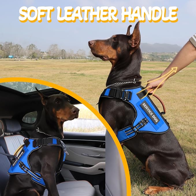 Service Dog Vest - HEYCAHVA Tactical Dog Harness Full Metal Buckles Dog Vest for Large Medium Dog Reflective No Pull Dog Harnesses with Leather Handle, Hook & Loop for Hiking Training (Blue, XL)