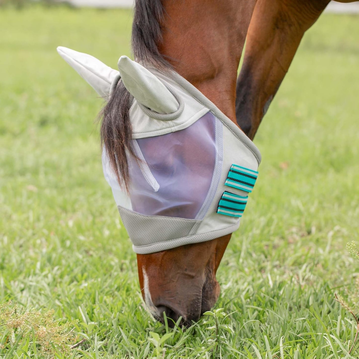 Equinavia Algard Soft Mesh Horse Fly Mask with Ear Protection and 45 UPF Rating | No Eye Irritation & UV Protection - Silver/Turquoise - Warmblood
