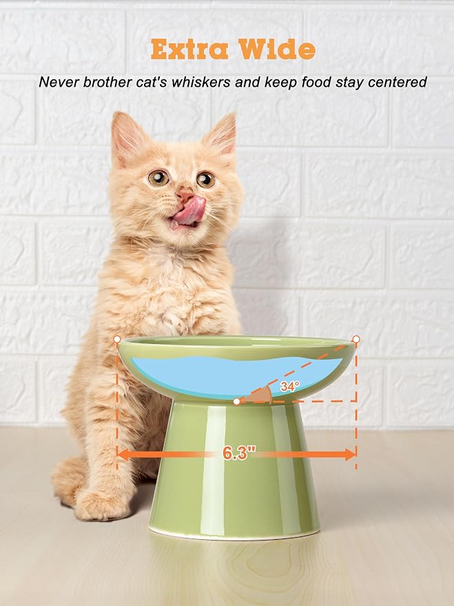LoeJan Elevated Cat Food and Water Bowls Set, Extra Wide and Raised Ceramic Feeder, Anti-Vomit Whisker-Free Pressure Feeding Bowl for Kittens Adult Cats Small Dogs (Green, Bowl Set)