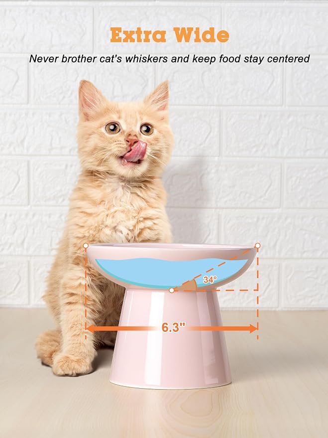 LoeJan Elevated Cat Food and Water Bowls Set, Extra Wide and Raised Ceramic Feeder, Anti-Vomit Whisker-Free Pressure Feeding Bowl for Kittens Adult Cats Small Dogs (Pink, Bowl Set)