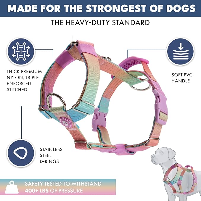 Spark Paws Comfort Control No Pull Dog Harness - Heavy Duty Front Clip | Safety Tested for Strong Breeds, w/ Metal Buckle & Top Handle – Padded Y-Straps Redirect Pulling. Solo or Matching Leash Set