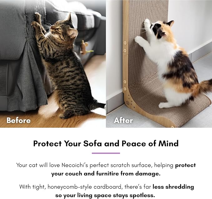 Necoichi Cardboard Cat Scratcher Wall for Indoor Cats - Cat Scratching Board, Cat Scratch Pad Lounger with Reversible Usability and Extra Comfort for Lounge, Curved (Oak, Regular)