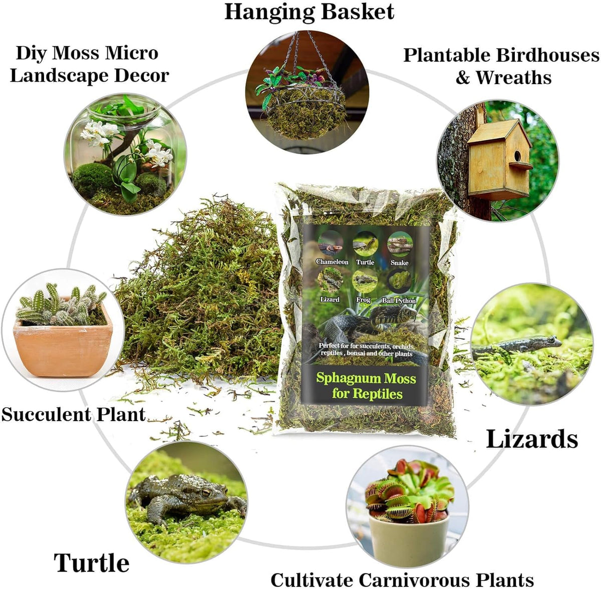 Sukh Sphagnum Moss for Reptiles -Terrarium Moss for Reptiles Peat Moss for Reptiles Habitat Bedding Moss for Snakes Turtle Frog Gecko and Other Reptiles Substrate (6.3, Ounces)