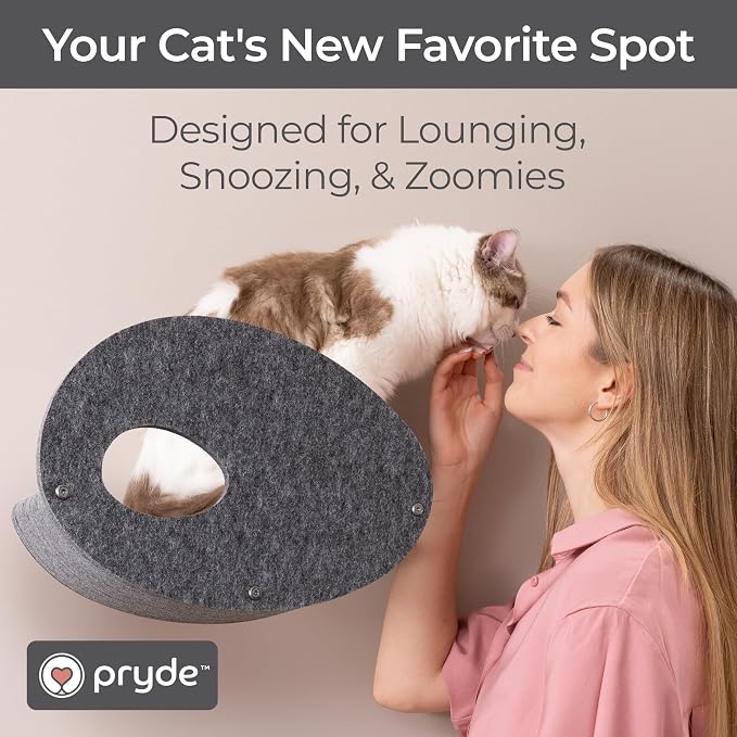 Accessory ADD-ON Curved Shelf Facade Covers Compatible with Cat Wall Shelves by Pryde Pets - 100% Sustainable PET Felt - Climber Sold Seperately - Cats Hammock Privacy and Safety Bumpers (Charcoal)