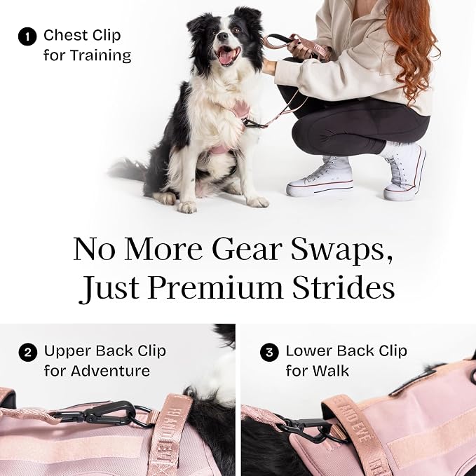 Fei & Eve Classic Dog Harness, MagEase Magnetic Buckle | 3-Point No-Pull Control, Dual Handle Support, 900D Nylon, Tactical Patch Panel, Heavy Duty, Small, Pink