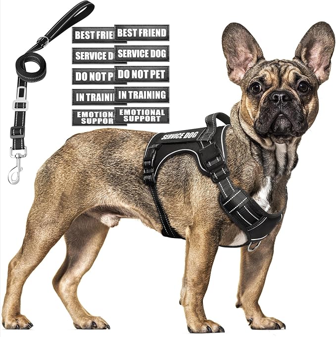 Tactical Dog Harness and Leash Set Medium Sized Dog+10 Dog Patches | Adjustable No Pull Service Animal Dog Vest with Dog Seat Belt,Padded Handles,Reflective Easy Walk for Training Hiking Black M