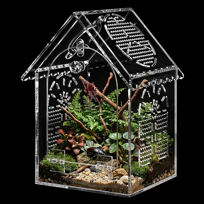 Jumping Spider Enclosure House Shape Design, Seamless Acrylic Tarantula Terrarium for Spiders and Small Reptiles, 6"x6"x10" (Large)