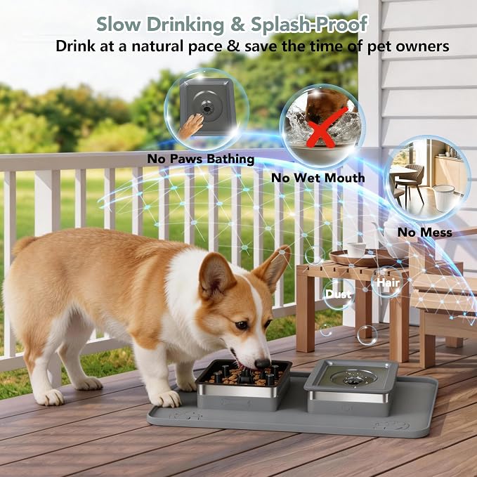 Dog Bowl Set, No Spill Dog Water and Food Bowl with Slow Feeder | Large Capacity 304 Stainless Steel Bowls, 3-In-1 Set, Slow Drinking, Anti-Slip Mat, Easy to Clean, Home/Travel, 6-7 Cups