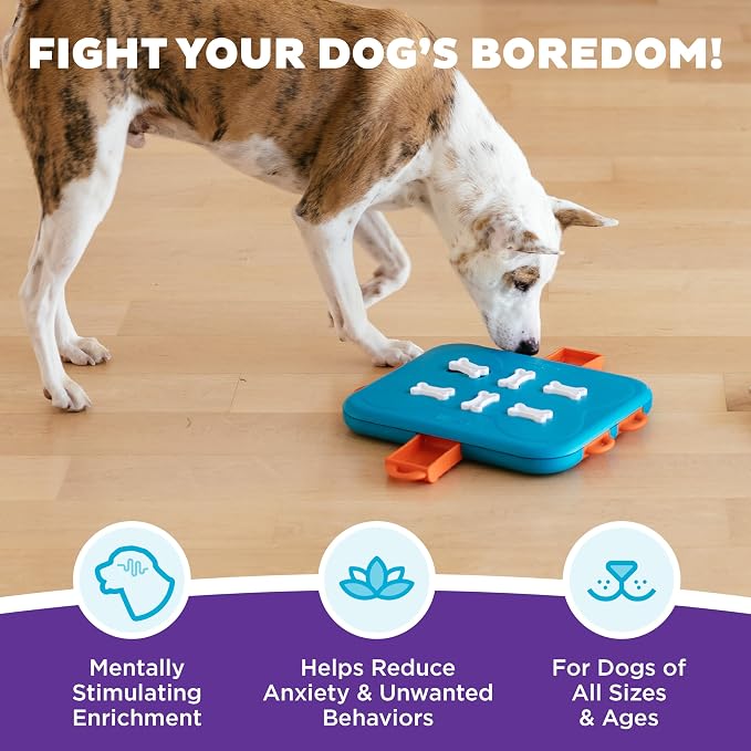 Outward Hound by Nina Ottosson Dog Casino Treat Puzzle Enrichment Toy, Level 3 Advanced, Turquoise
