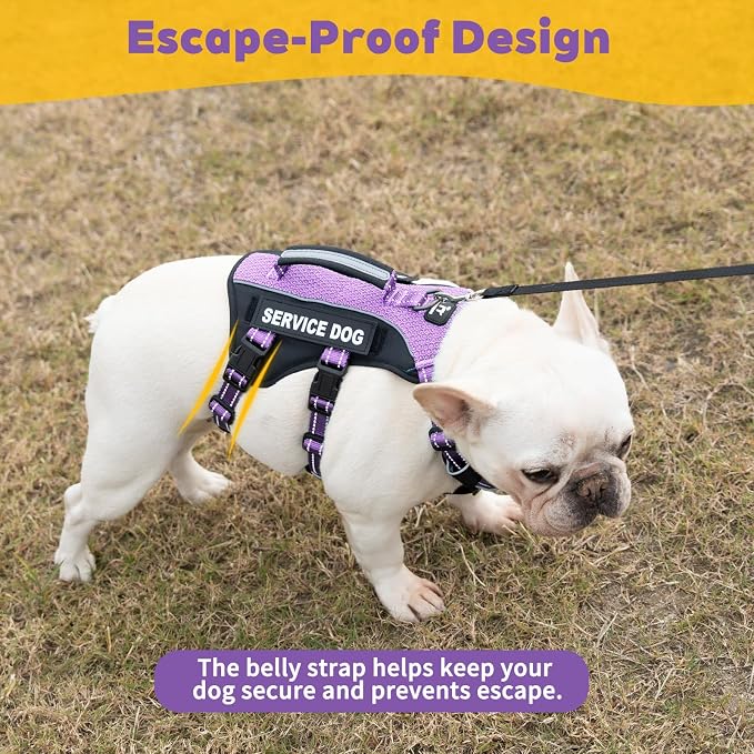 Service Dog Vest Harness, Escape Proof Harness with 6 Patches, No-Pull, Reflective Harness with Handle, Adjustable for Small to Large Dogs, for Training and Hiking (Lavender Purple, S)