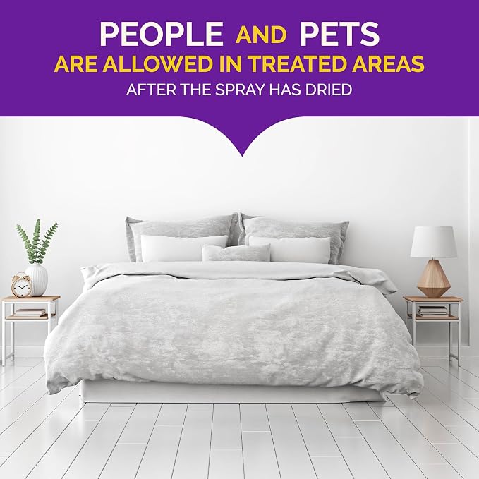 Hot Shot Ready-to-Use Bed Bug Killer Spray, Kills Bed Bugs and Bed Bug Eggs, Kills Fleas and Dust Mites, 32 Ounce