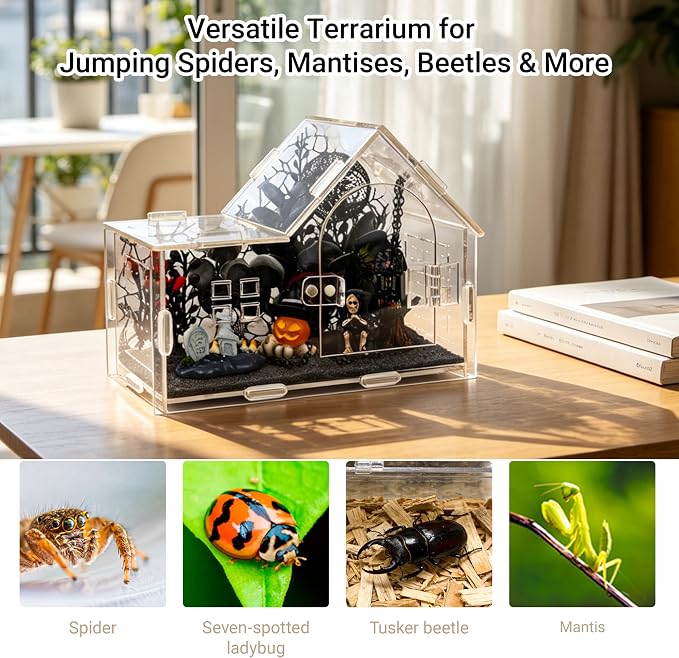 Acrylic Jumping Spider Enclosure Kit 16PCS with Decor | 19-pc gothic decor with dark plants, chain, hideout, for mantis & tarantula