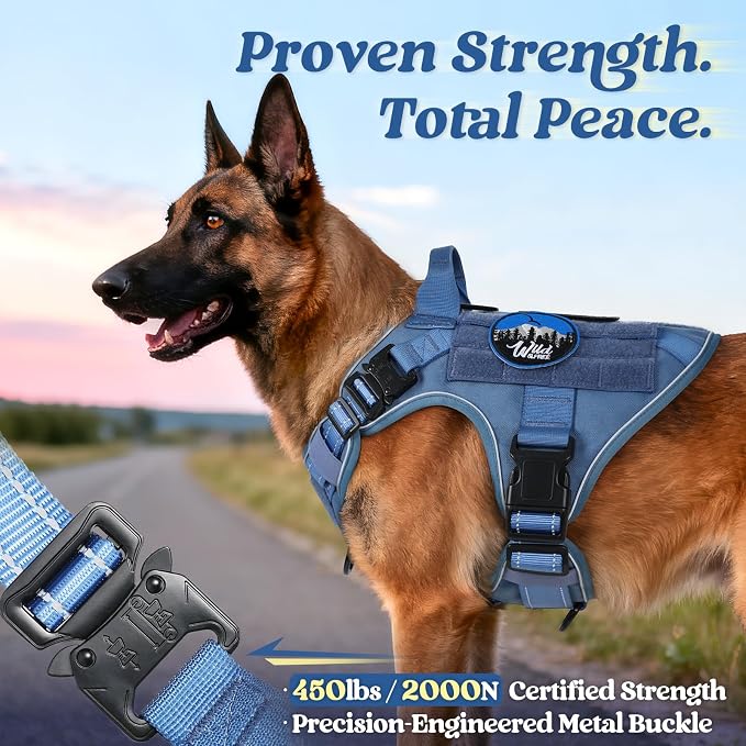 rabbitgoo Tactical Dog Harness for Small, Heavy Duty Military No Pull Vest | Sturdy Metal Buckles, 5 Adjustments, Molle System, Powerful Pullers for Training, Hunting, Outdoor, Blue Reflex, Small