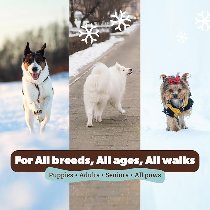 Natural Dog Company PawTection Balm for Dogs – Winter Paw Protection from Snow, Ice & Salt, Wax-Based Paw Barrier Balm, All Breeds for Cold Weather Walks & Outdoor Adventures, Lick-Safe, 2 oz Stick