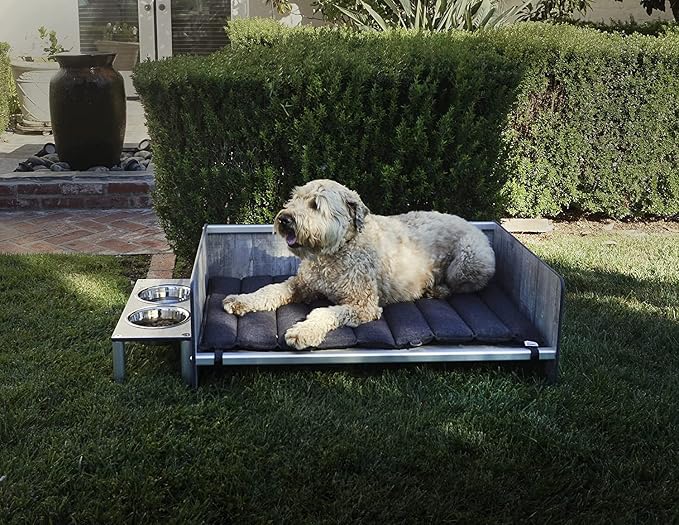 Raised Pet Bowls for Cats and Dogs, Outdoor Elevated Dog Cat Food and Water Bowls Stand Feeder on Aluminum Legs with 2 Stainless Steel Bowls Sizes for Small Medium and Large Dogs. - Medium (Monte)