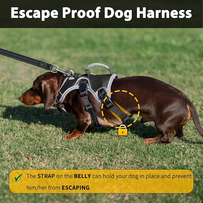 Escape Proof Dog Harness, Dachshund Harness, Reflective Dog Harness with Handle, Durable,Adjustable Vest for Small Medium Large Dogs Walking, Training, and Running Gear (Black,L)