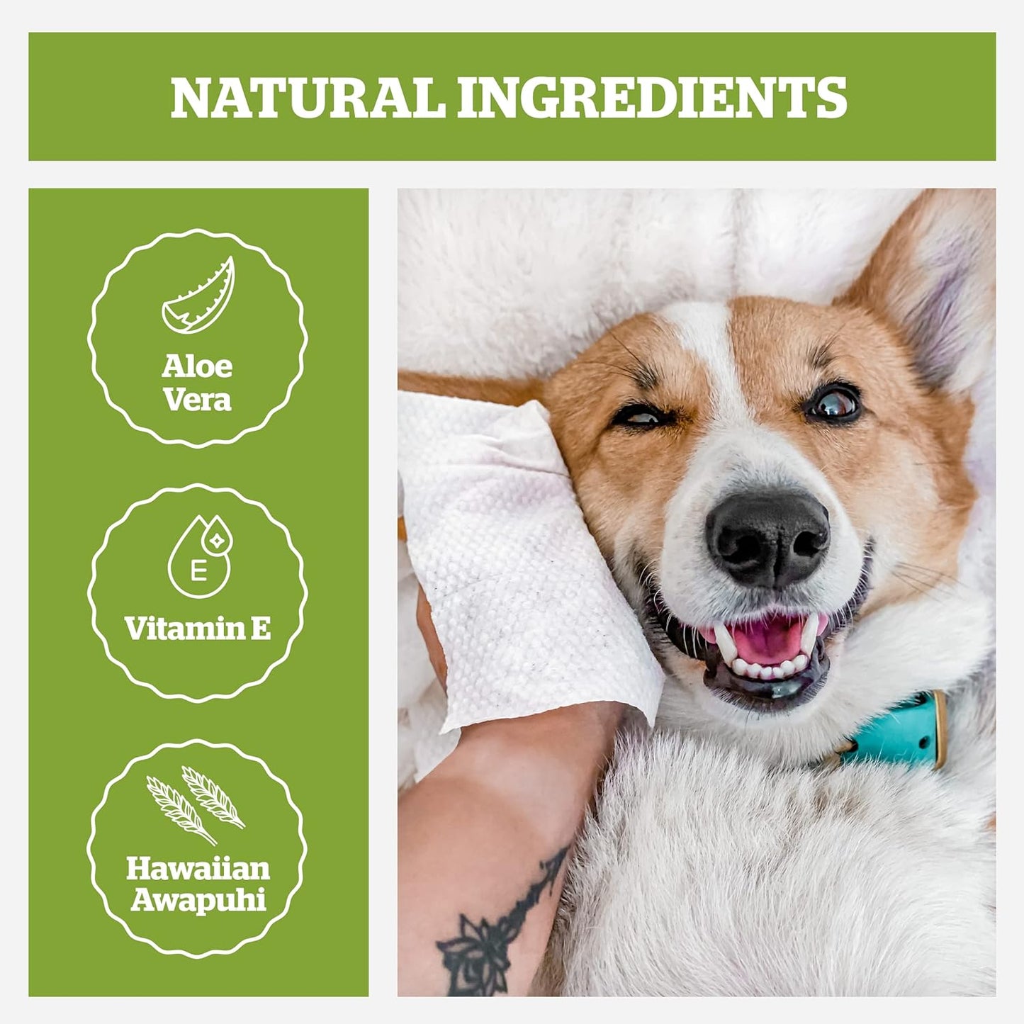 Pogi’s Dog Wipes Travel Packs – Hypoallergenic Pet Wipes for Paws, Body & Butt – Cleaning & Hydrating, Green Tea Scent, 240-Count