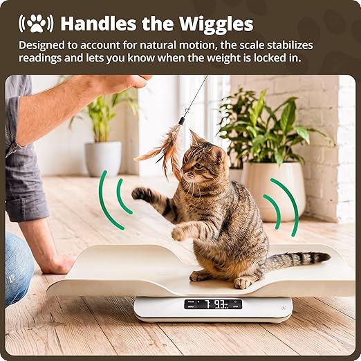 Greater Goods Digital Pet Scale for Cats & Dogs – Wiggle-Proof Technology, 0.1 lb Precision, 44 lb Capacity Scale for Kittens, Puppies & Small to Medium Animals