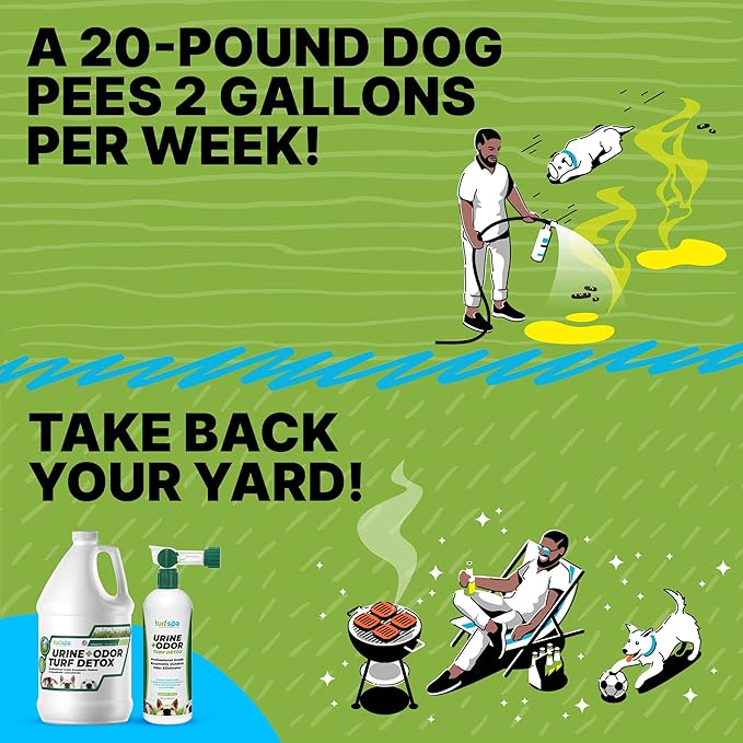 TurfSpa Urine & Odor Turf Detox: 2- Pack of Mango 32 oz Professional Enzyme Cleaner & Odor Eliminator for Artificial Grass, Turf, Concrete, Patio & Kennels, Pet Urine Enzymatic Cleaner for Dogs & Cats