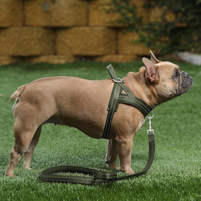 Plutus Pet No Pull Dog Harness for Puppy Small Dogs, Breathable Mesh Padded | Adjustable Reflective with Handle, Escape Proof, Quick Fit Pet Vest, Front Clip, for Training and Walking, Ranger Green, XS