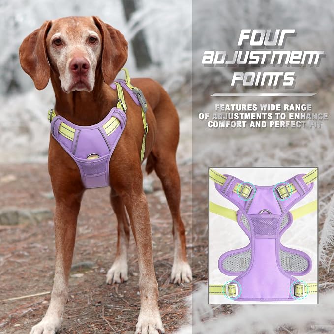 BARKBAY Dog Harness No Pull for Large Dogs Front Back Clips,Dog Vest | Soft Padded No Choke With Handle,Easy On&Off,Adjustable Reflective For Walking Training Running(Violet Purple & Sunlight,L)