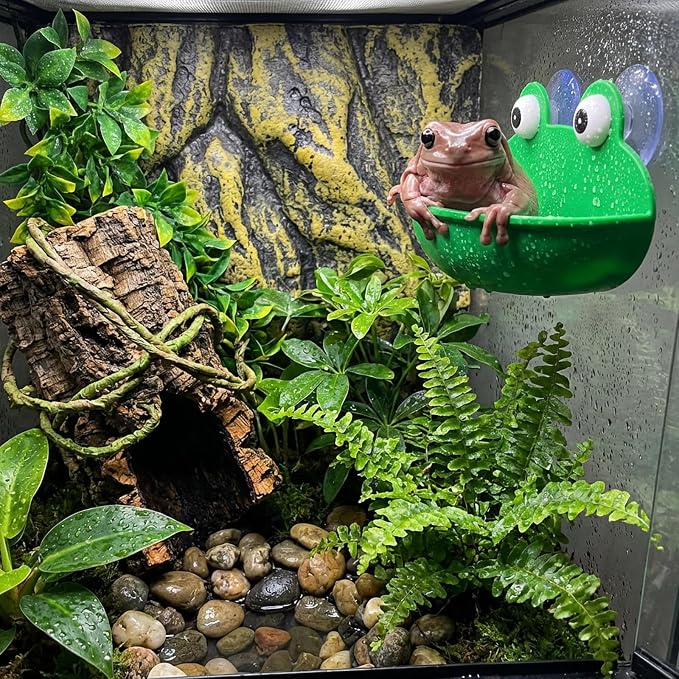 2pcs Frog Habitat with Suction Cup Frog Dish Holder Cute Fish Tank Decoration Lovely Suction Cup Soap Dish Holder Frogs Terrarium Decor for Tree Frogs Tadpole Small Aquatic Animal