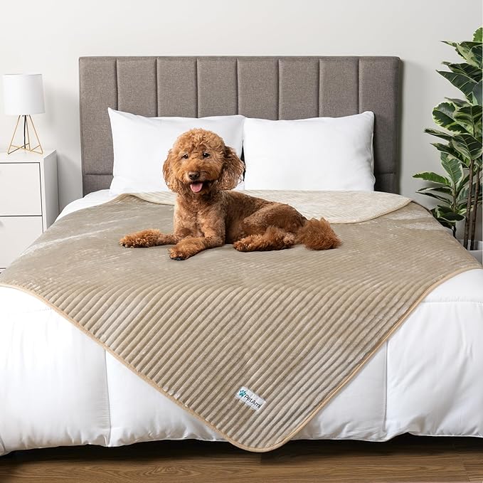 PetAmi Waterproof Dog Blanket, Leakproof Pet Blanket for Small Medium Large Dogs, Reversible Furniture Bed Sofa Couch Cover Protector, Plush Striped Pet Throw for Indoor Cat, 29x40 in, Taupe Beige