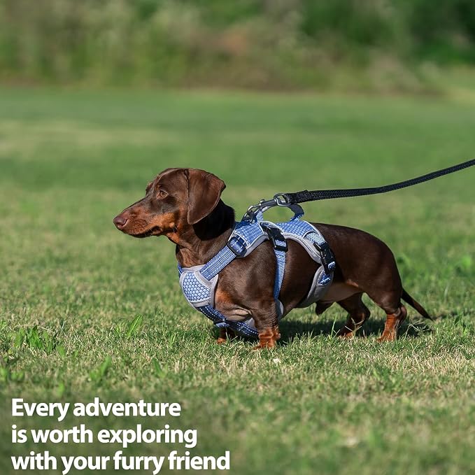 Escape Proof Dog Harness, Dachshund Harness, Reflective Dog Harness with Handle, Durable,Adjustable Vest for Small Medium Large Dogs Walking, Training, and Running Gear (Technicolor Blue,XL)