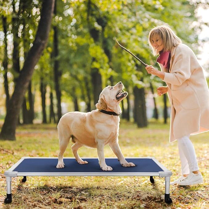 Veehoo Chew Proof Elevated Dog Bed, Cooling Raised Pet Cot, Silver Aluminum | Indestructible Dog Bed with Durable Textilene Mesh Fabric, No-Slip Feet for Indoor or Outdoor Use, 42", Large, Blue