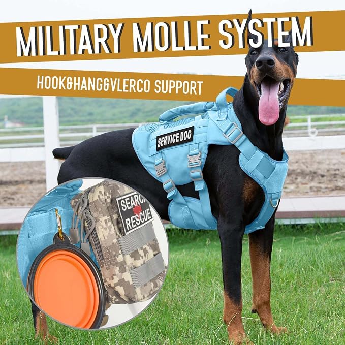 Service Dog Vest for Large Dogs, Blue Tactical Harness with Military MOLLE, Breathable Mesh & 39g Metal Buckle - Size L for Training & Hiking