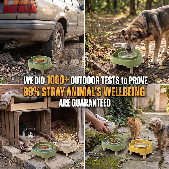 Ant Not Cross Elevated Cat Bowls Mess Proof-2 Food Grade Glass Bowls & 1 Lids- No Spill Cat Food and Water Feeding Station for Cats&Puppy Indoor & Outdoor,No Whisker Fatigue Dish,Green