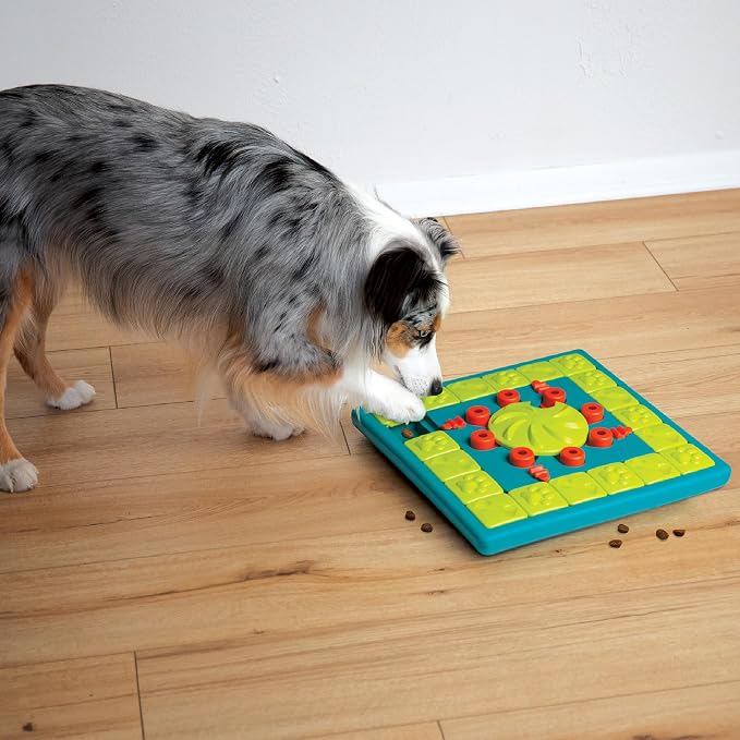 Outward Hound by Nina Ottosson MultiPuzzle – Interactive Dog Treat Puzzle Enrichment Toy, Level 4 Expert