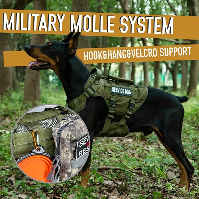 Service Dog Vest for Large Dogs, Green Tactical Harness with Military MOLLE, Breathable Mesh & 39g Metal Buckle - Size XL for Training & Hiking
