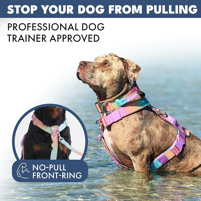 Spark Paws Comfort Control No Pull Dog Harness - Heavy Duty Front Clip | Safety Tested for Strong Breeds, w/ Metal Buckle & Top Handle – Padded Y-Straps Redirect Pulling. Solo or Matching Leash Set