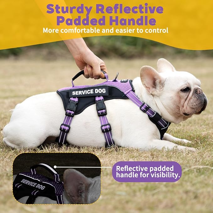 Service Dog Vest Harness, Escape Proof Harness with 6 Patches, No-Pull, Reflective Harness with Handle, Adjustable for Small to Large Dogs, for Training and Hiking (Lavender Purple, M)