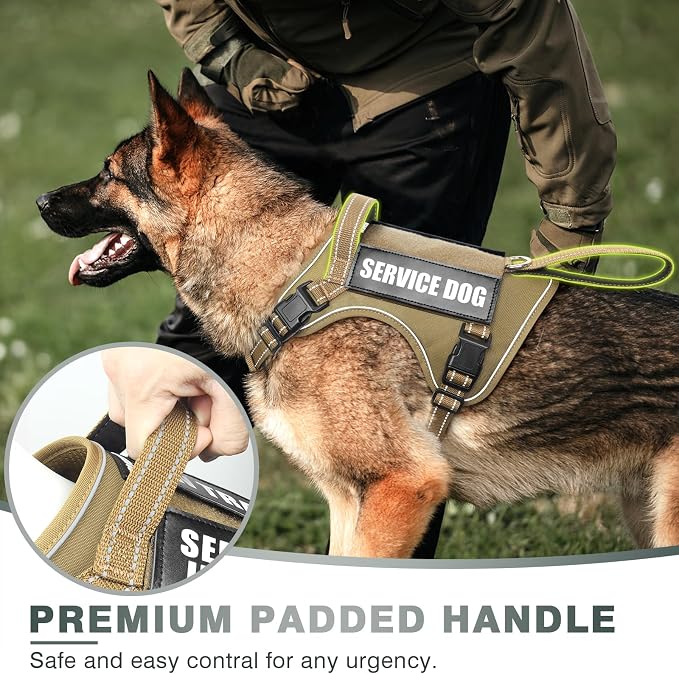 Tactical Dog Harness, No Pull Dog Harness for Medium Large Dogs with Handle & Molle, Military Service Dog Vest Harness in Training Pet Harness for Small Dogs