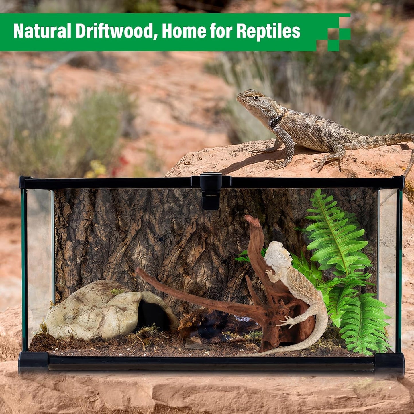 Driftwood for Aquarium Natural Aquarium Wood for Aquascaping Fish Tank Decorations Reptile Tank Decor (Natural Driftwood 9-14" (Pack of 2))