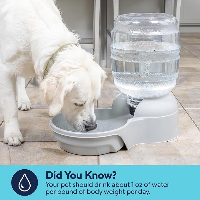 Petmate Aspen Pet Lebistro Cat and Dog Water Dispenser, Made in USA