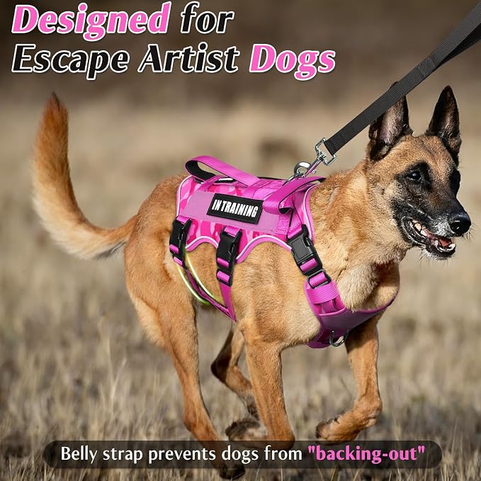 Escape Proof Dog Harness with Double Handle+4 Removable Patches | Service Working Molle Harness with Double Handle for Medium Dogs, Tactical Pet Reflective Vest for Walking Hiking Hunting