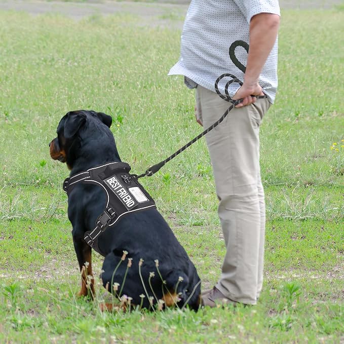 Beebiepet Heavy Duty Tactical Dog Harness for Small Dogs, No Pull Adjustable Pet Harness Reflective Service Training Easy Control Pet Vest Military K9 Working Dog Harnesses-X- Large, Black