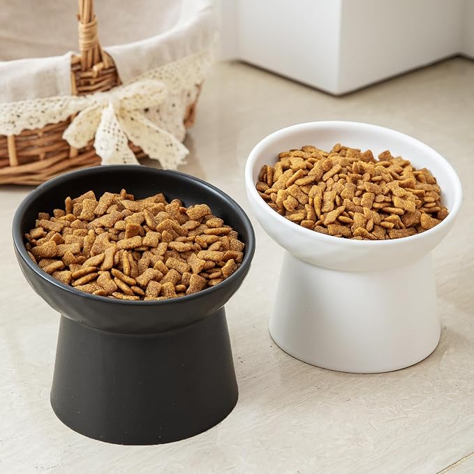 Elevated Cat Bowls, 15° Tilted Ceramic Raised Cat Food and Water Bowl Set, Whisker-Friendly Porcelain Pet Feeder Dishes for Indoor Cats and Small Dogs,Black,6.2 Inch,2 Pack