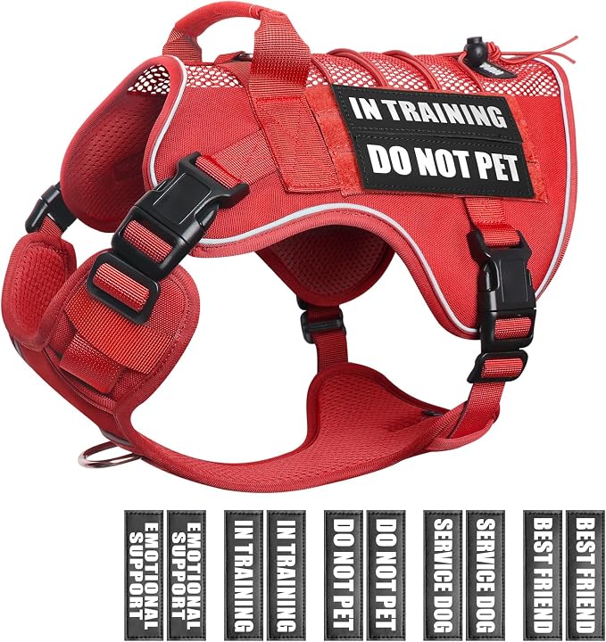 Service Dog in Training Mesh Harness with 10 Removale Pet Patches | Breathable material, adjustable straps, reflective trim, lightweight but durable, great for training, walks, and outings