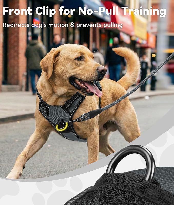 Joytale No Pull Dog Harness Medium Sized Dog, Front Clip, Gray | Grab Handle for Instant Control, Padded & Adjustable Vest, Sturdy Metal D-Rings, for Safe Training & Daily Walking