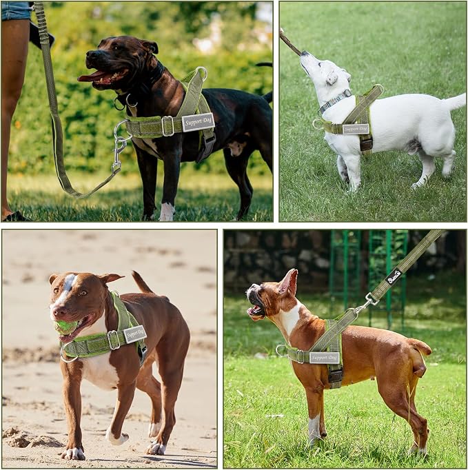 SlowTon No Pull Dog Harness with Front Clip - Heavy Duty, Soft Padded | Neck & Chest Adjustable, Tactical Pet Vest and Leash Set for Large Medium Sized Dogs, for Easy Walk & Training, Green L
