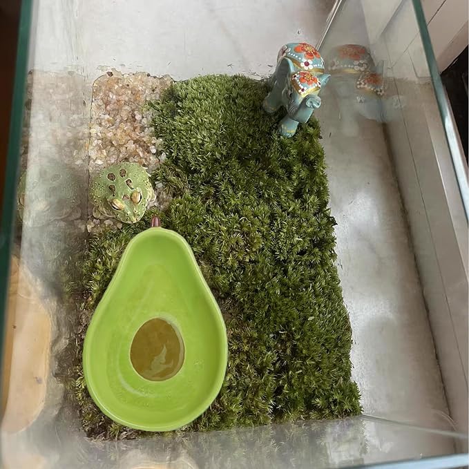 JSLZF Tree Frog Habitat Frog Water Bowl Dish Bathtub Tank Accessories Terrarium Decor Ceramic Aquarium Decoration Sturdy and Not Easy to Knock Over